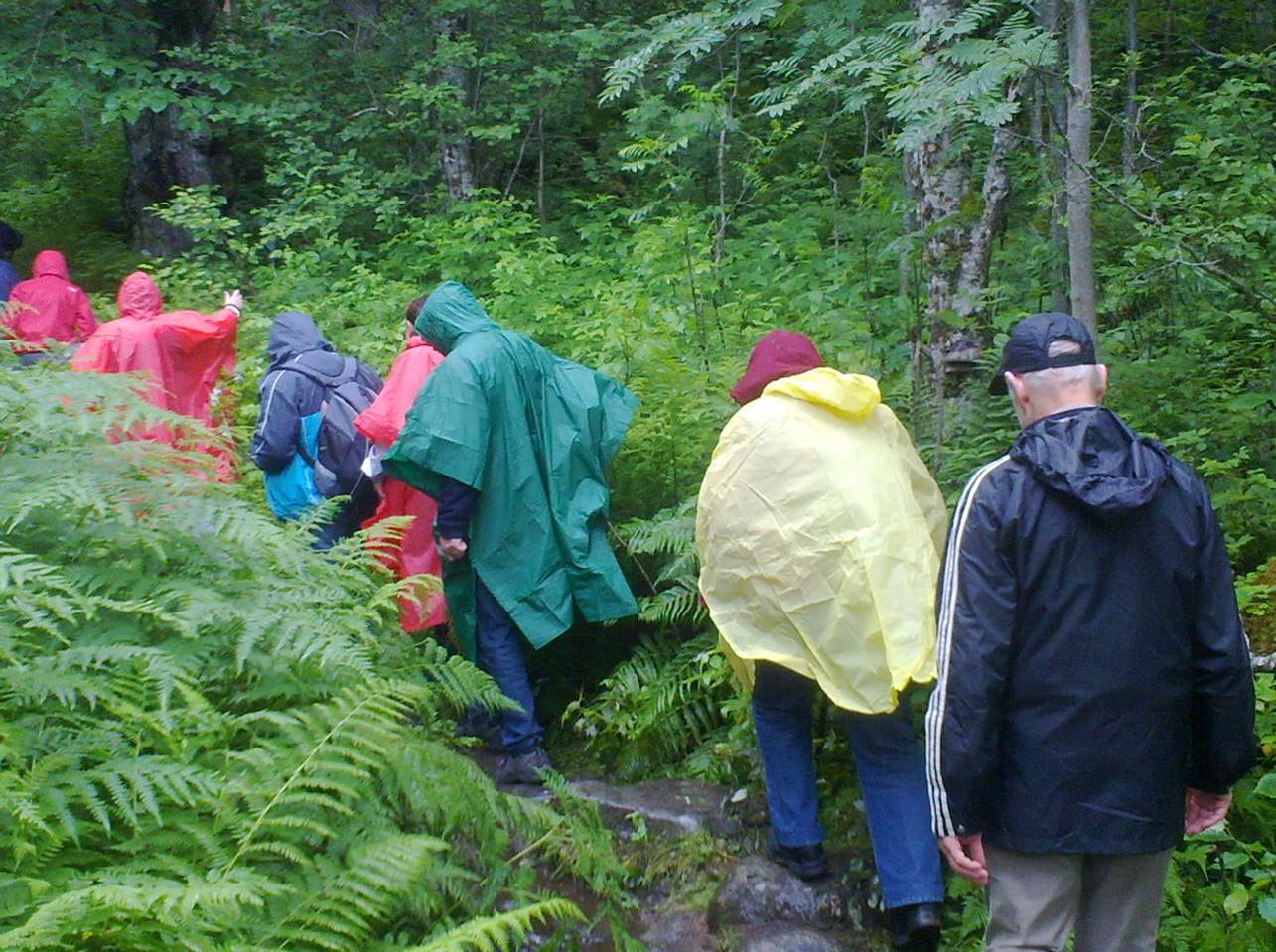 הליכה למרדל